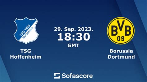 Borussia dortmund vs hoffenheim lineups